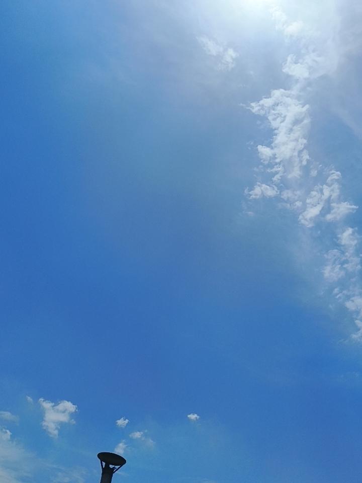 中午12点的太阳，太热烈了吧！在乡下老家的屋里坐着都出汗！别说出去干活的农民兄弟