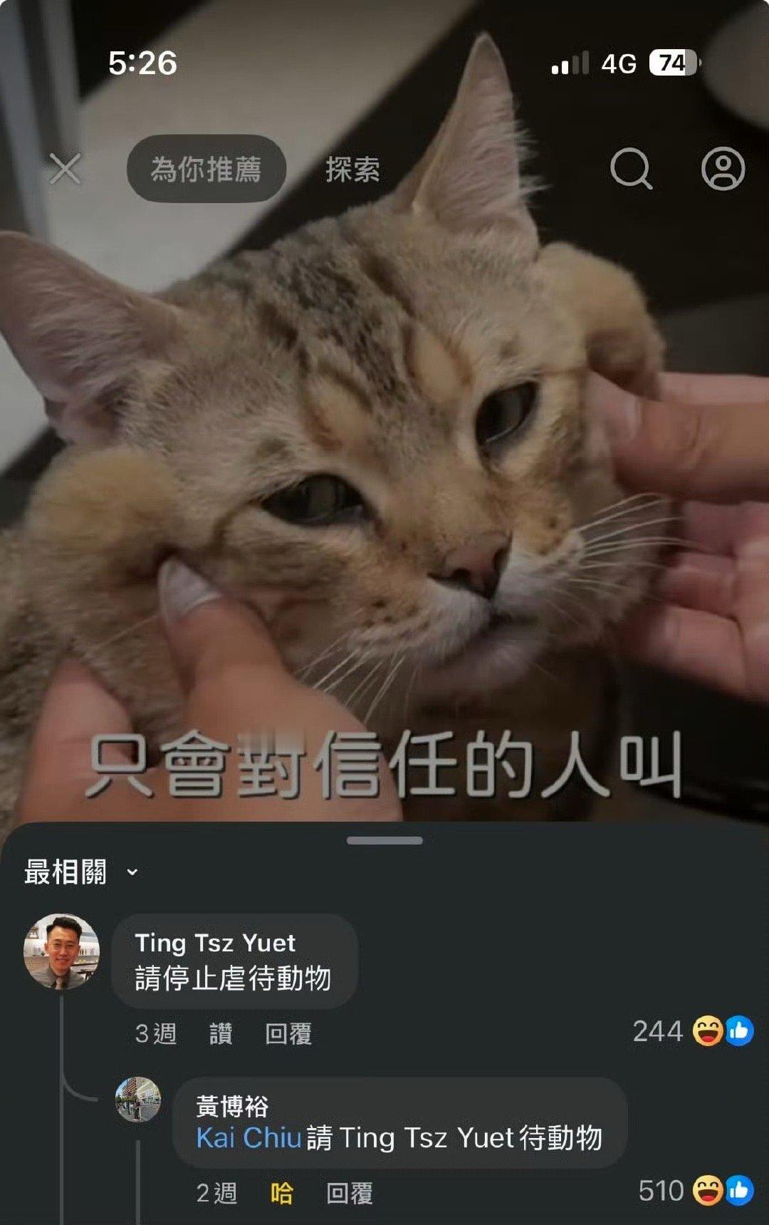 我服了 ​​​