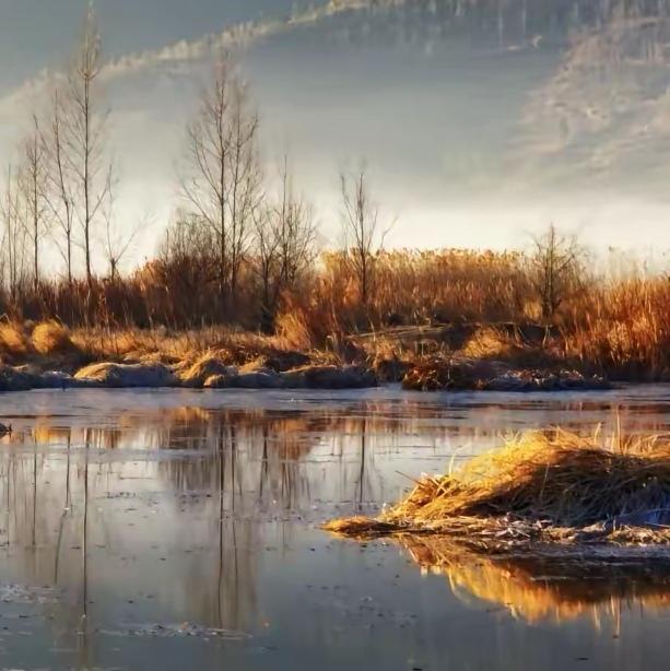 升人间一场烟火
听过江南烟雨多 烟雨满楼盘
听得小船轻摇桨 所见有所想
远处灯火