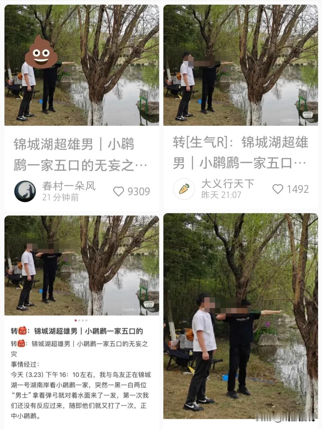 引起公愤，大量转发！成都锦城湖一男子拿弹弓疑似打si小䴙䴘，引发某书上网友全民发