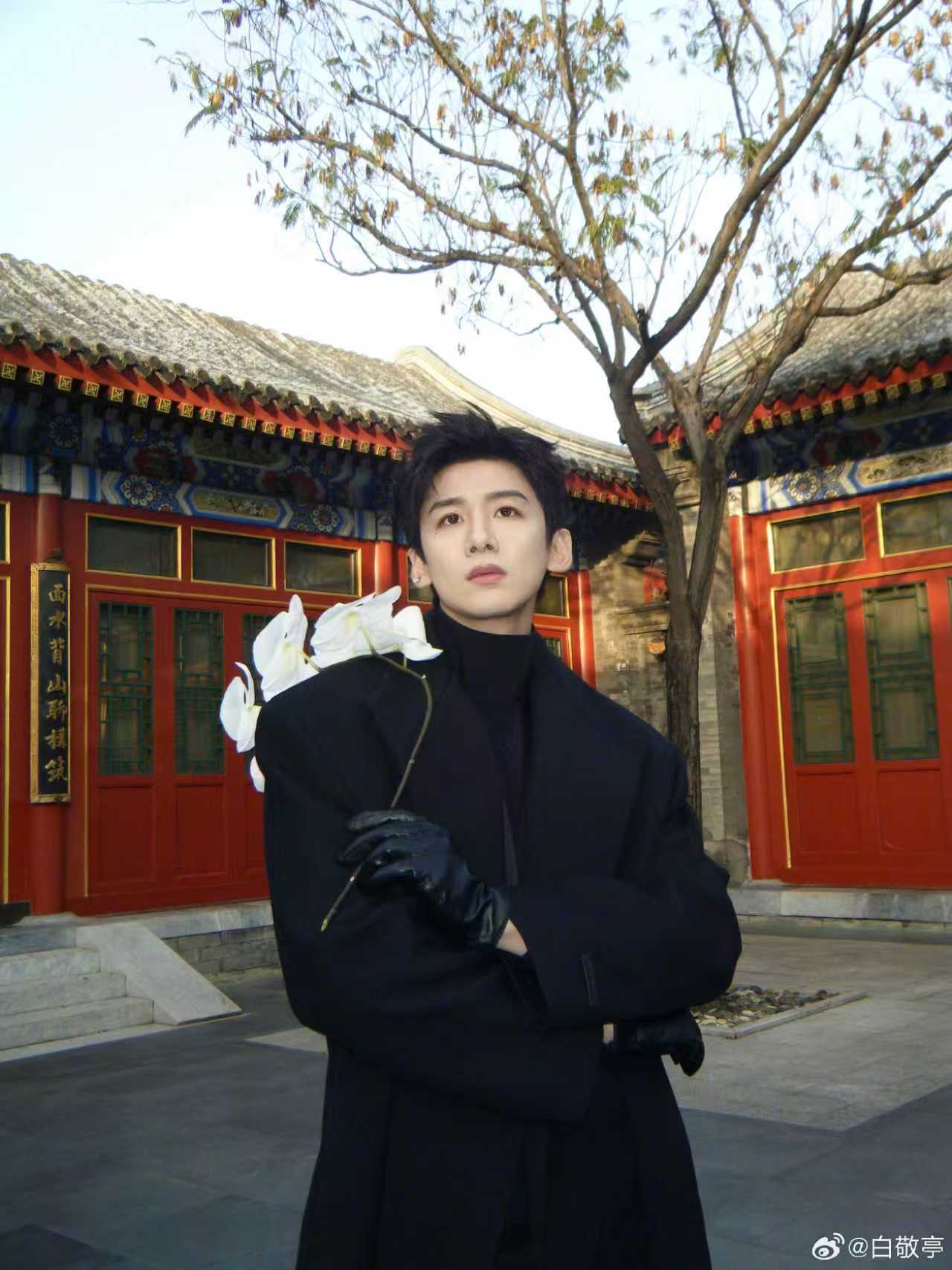 白敬亭高干文男主白敬亭体制内男友 白敬亭秋日polg，大衣背头，高干文男主既视感