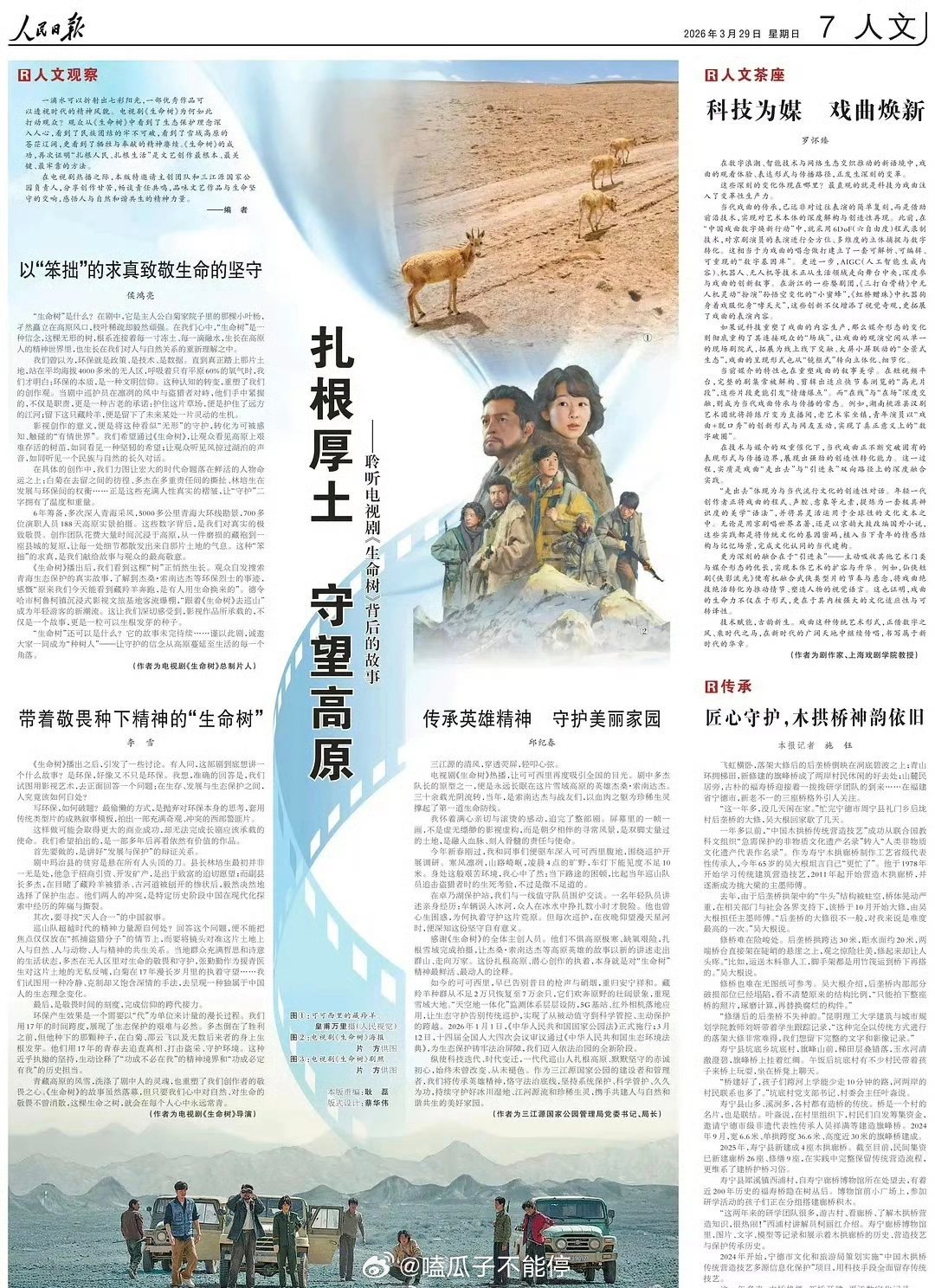 杨紫生命树🌳又上人民日报了 