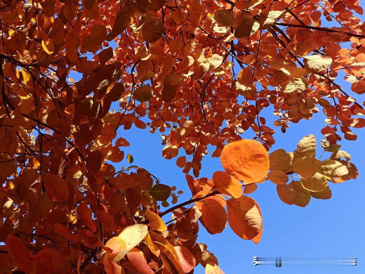 不得不说，人得信命。有时再多的努力，赶不上一次机会，一个政策。
我们这里的学校评