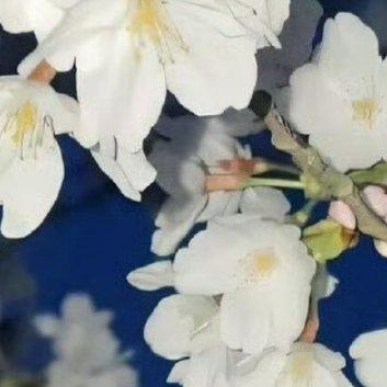 阳光信用[超话][挤眼]阳光信用 [挤眼]每日一善 我们没有理由说辛苦，为自己喜