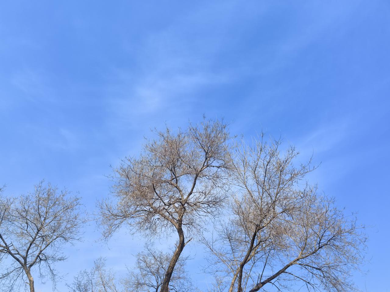 北京冬天的蓝天，那是深邃的蓝。经过多年治理，北京的天气已大为改观。有一次去汉中旅
