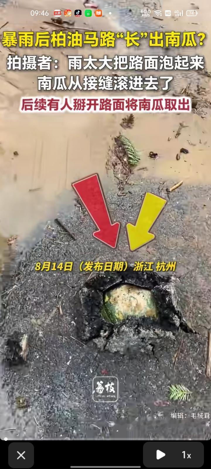 8月14日，浙江杭州。网友发视频称，暴雨过后柏油路竟然“长”出南瓜，因为园区是水