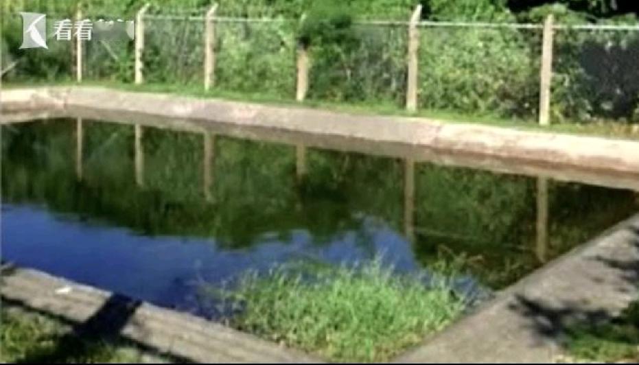 快报！快报！日本在美国面前永远是奴才。
据日本媒体19日报道，日本冲绳县内驻日美