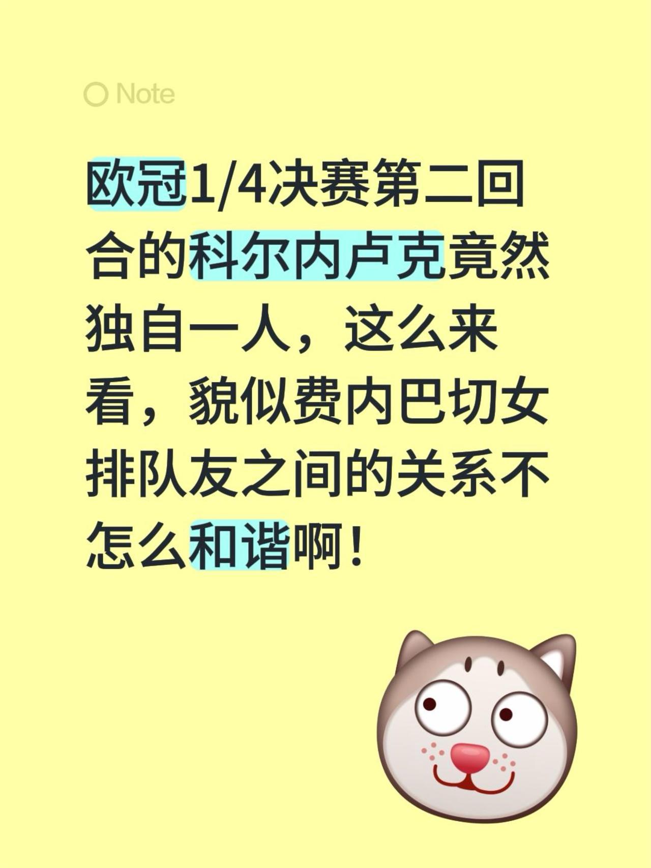 欧冠1/4决赛第二回合的科尔内卢克竟然独自一人，这么来看，貌似费内巴切女排队友之