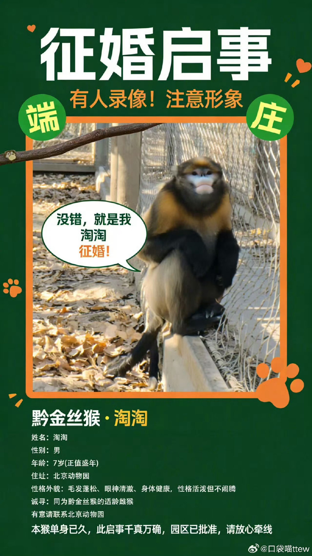 北京动物园为黔金丝猴淘淘全球征婚谁能想到，连国宝级萌猴都要开启全球征婚模式啦！北