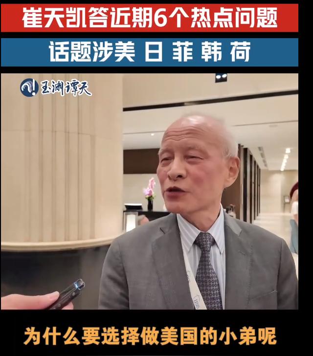"我就不明白，为什么要做美国的小弟呢？自己就把自己贬低了，何必呢？"

5月31