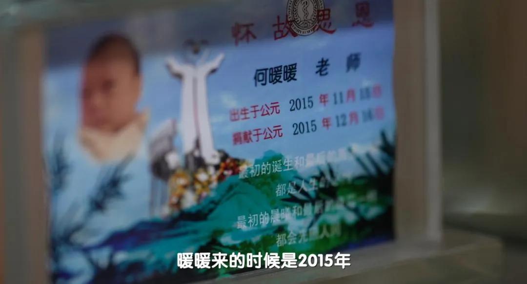 北大医学部最小的大体老师，仅出生29天捐献遗体，北大医学部的纪念墙上，刻着114