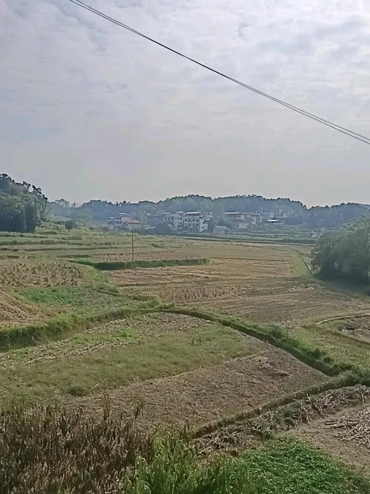 婚姻，对于女人来说，没有多大的意义！男人把女人娶回家生下孩子后，他基本上就可以恢