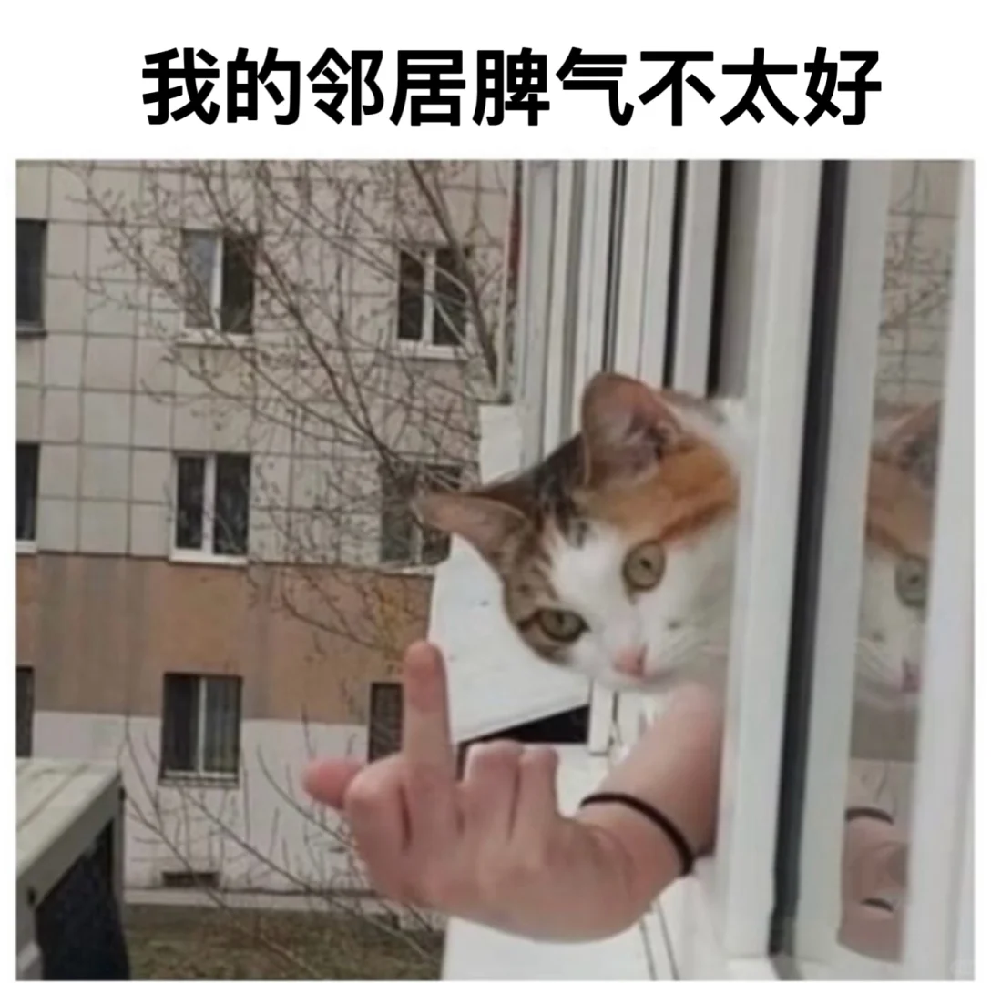 关于小猫的梗图🦴