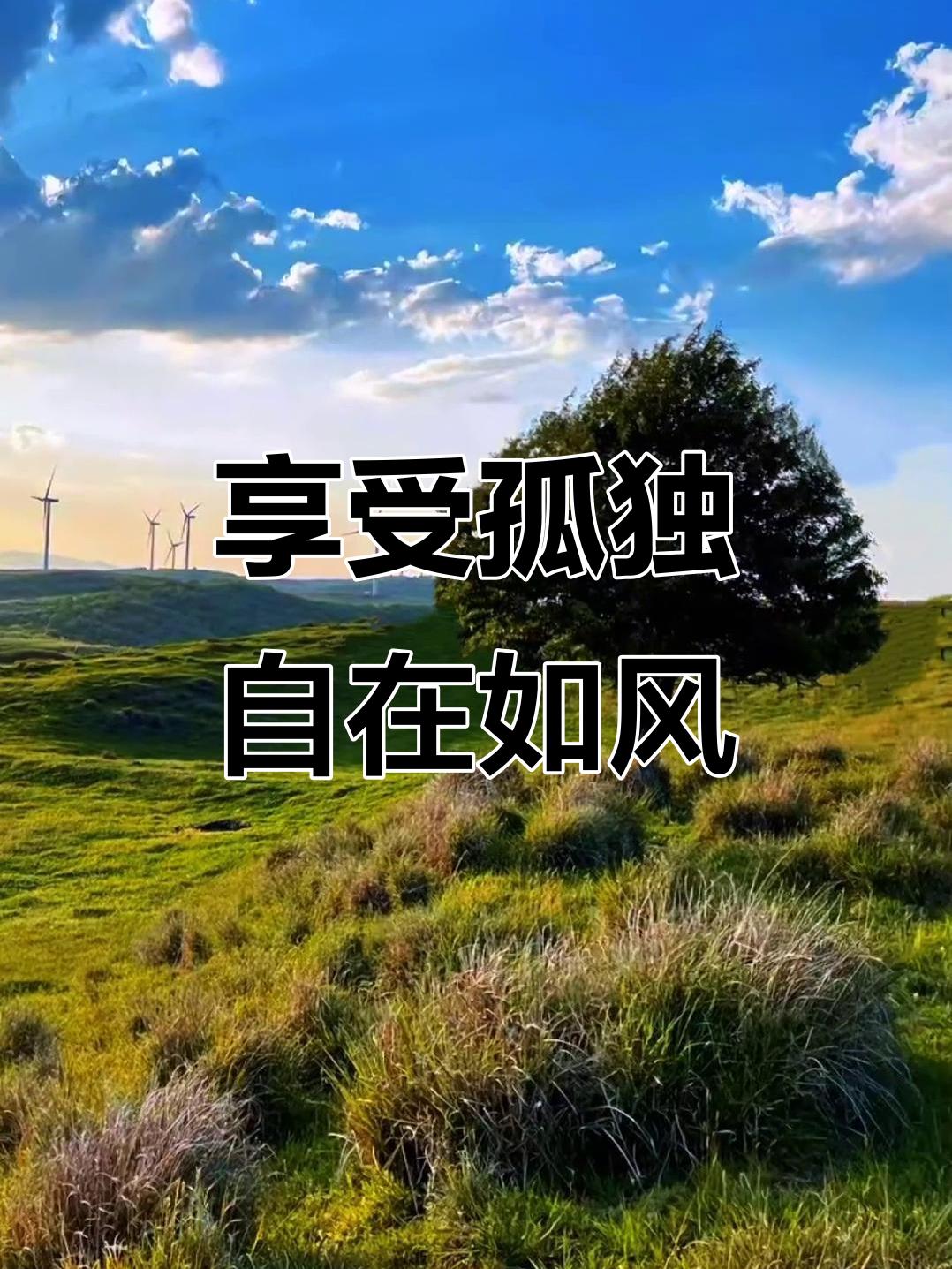在这看似热闹的时代，孤独却如影随形，超七成的人时常会感到孤独。有人觉得朋友是治愈