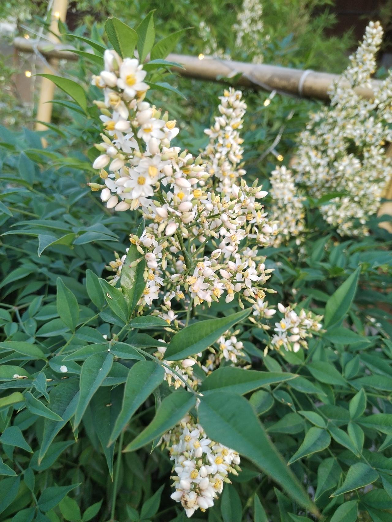[趣联联趣]
上联：意联怪诞疑为病，①
下联：？
[一字千金]
《儿童节撷趣》