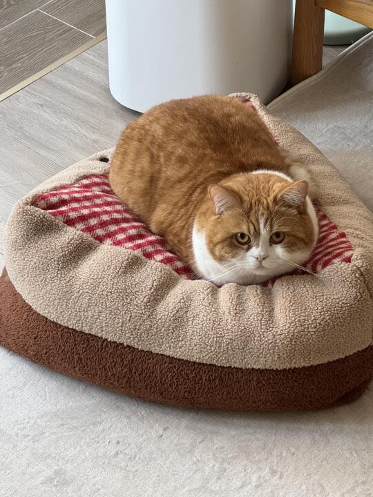 妈 你也该起床了