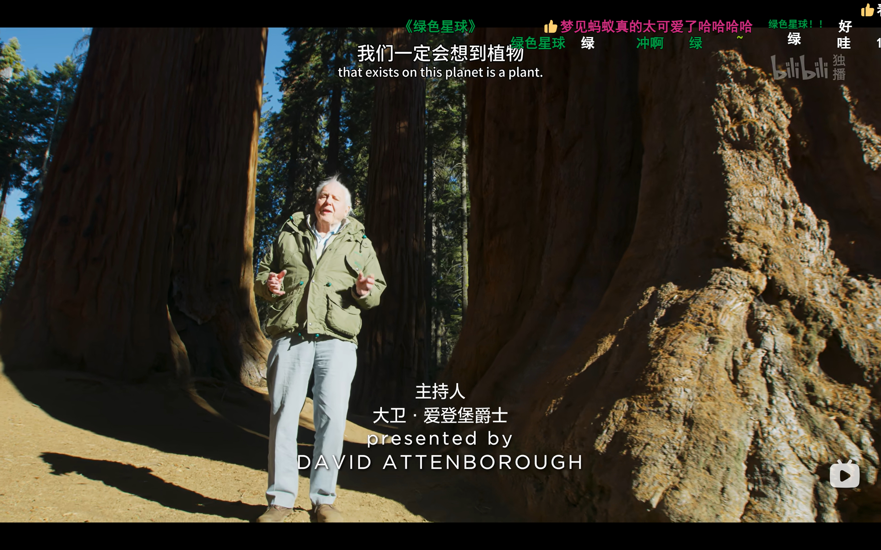 网页链接绿色星球哈哈哈。我感觉有可能是在蹭《蓝色星球》的热度，但我还是希望是BB