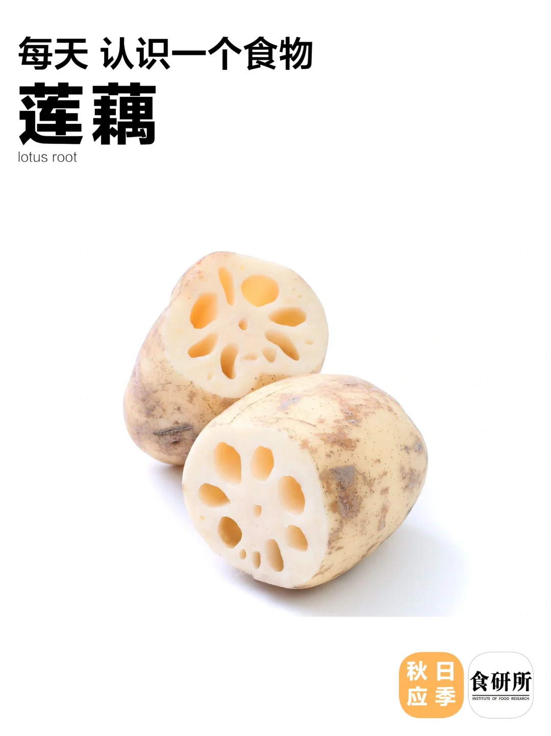 秋日吃饭灵感~粉藕？脆藕？