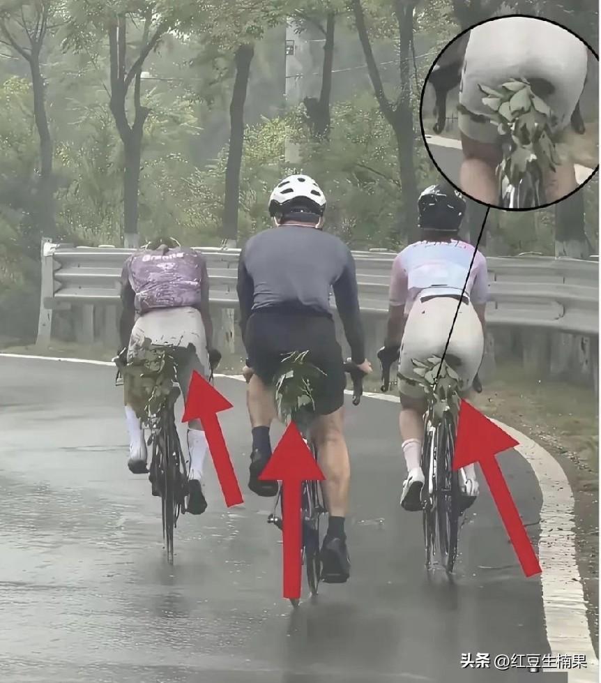 这几位骑行爱好者把自行车尾部捆绑树枝是什么意思，况且又是下雨天，难道是充当挡泥板