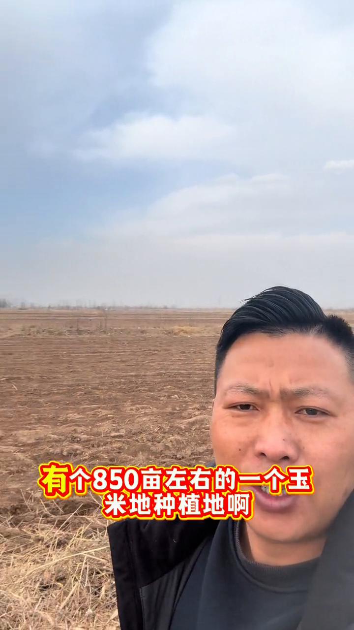 贺兰丰登850亩种植地对外流转。
在贺兰丰登镇这边有个850亩左右的玉米地种植地