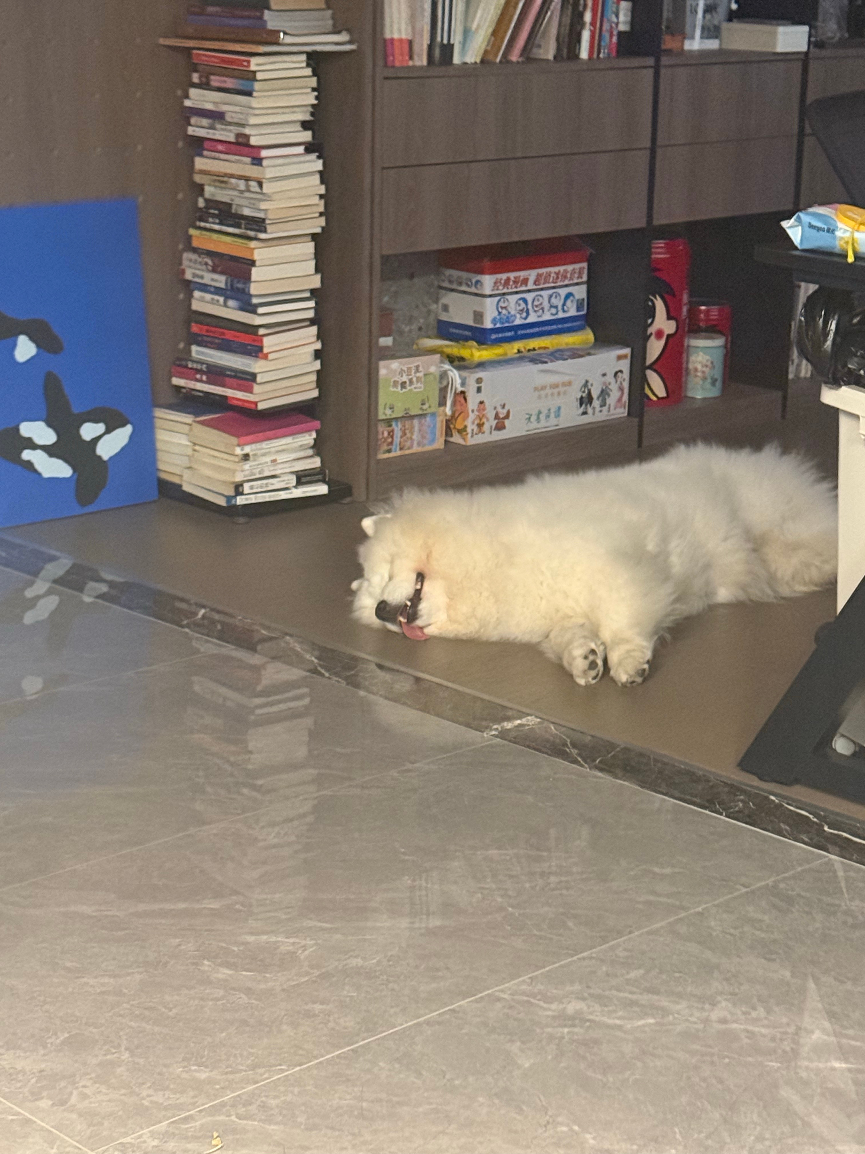 又看书看睡着了…… ​​​