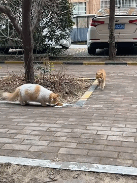 一看就是老手了！ 