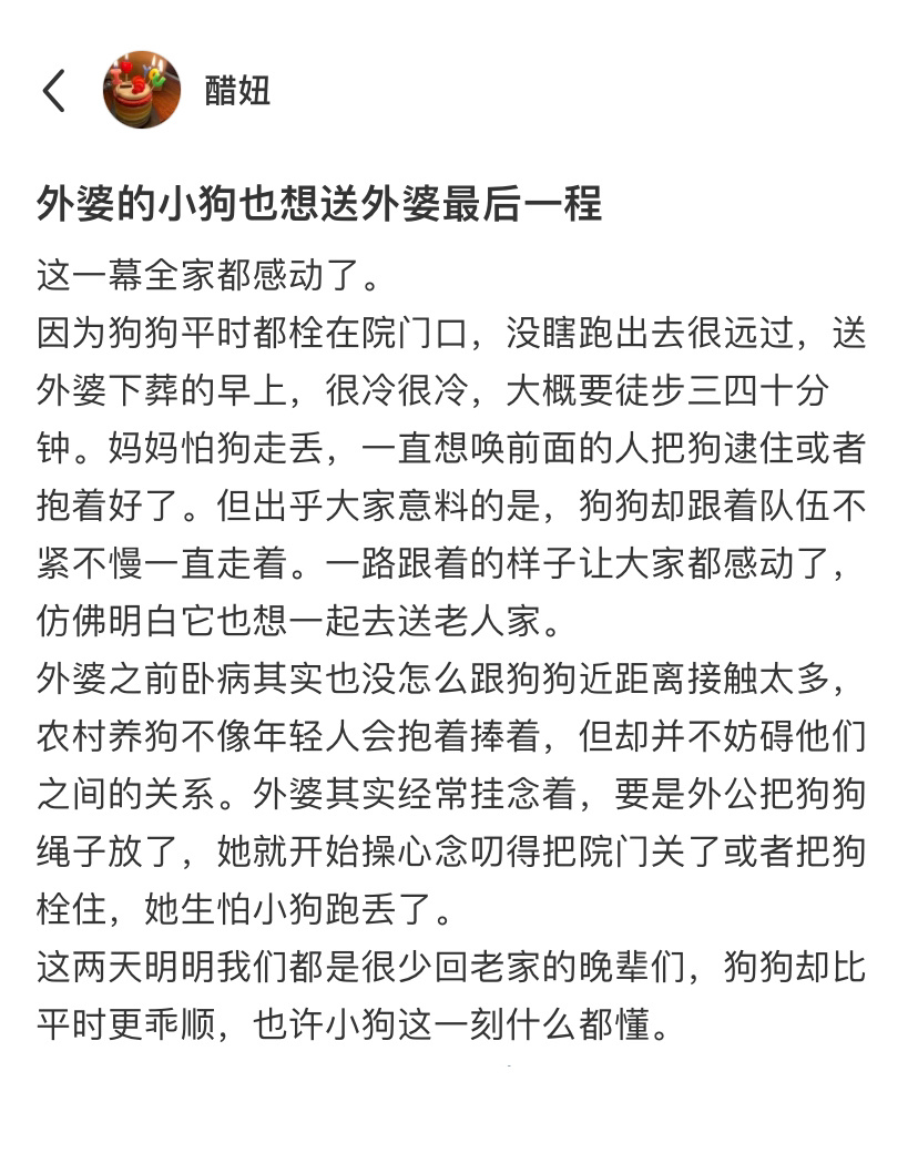 外婆的小狗也想送外婆最后一程[悲伤] ​​​