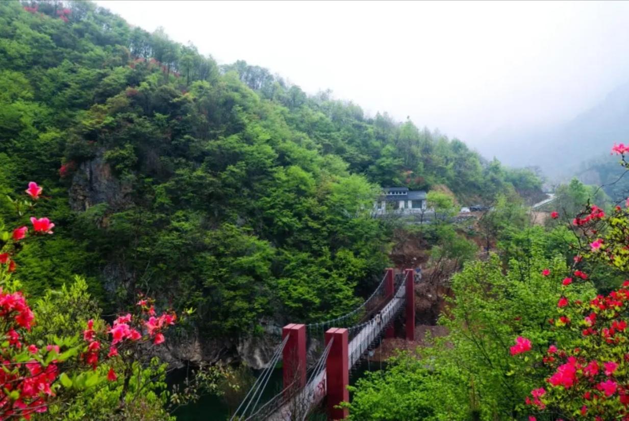 〔欣赏图片〕
感悟大自然的太神奇。
吟诗一首：
春雨偷情，连累青山戴绿帽……。