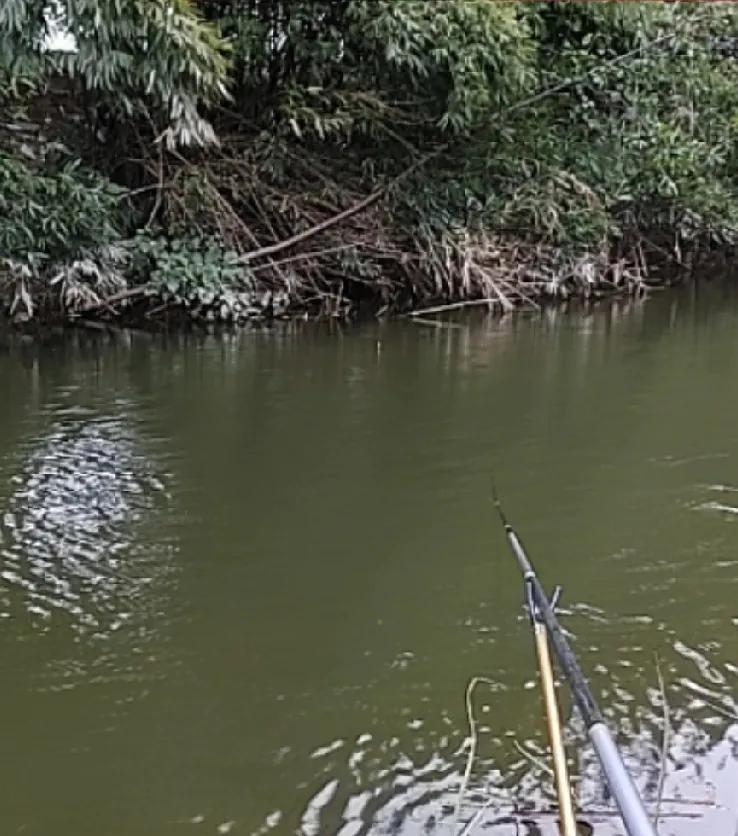 冬天风大时钓鲫鱼可以参考以下方法：
 
首先要选好钓点。寻找避风的位置，像水域的