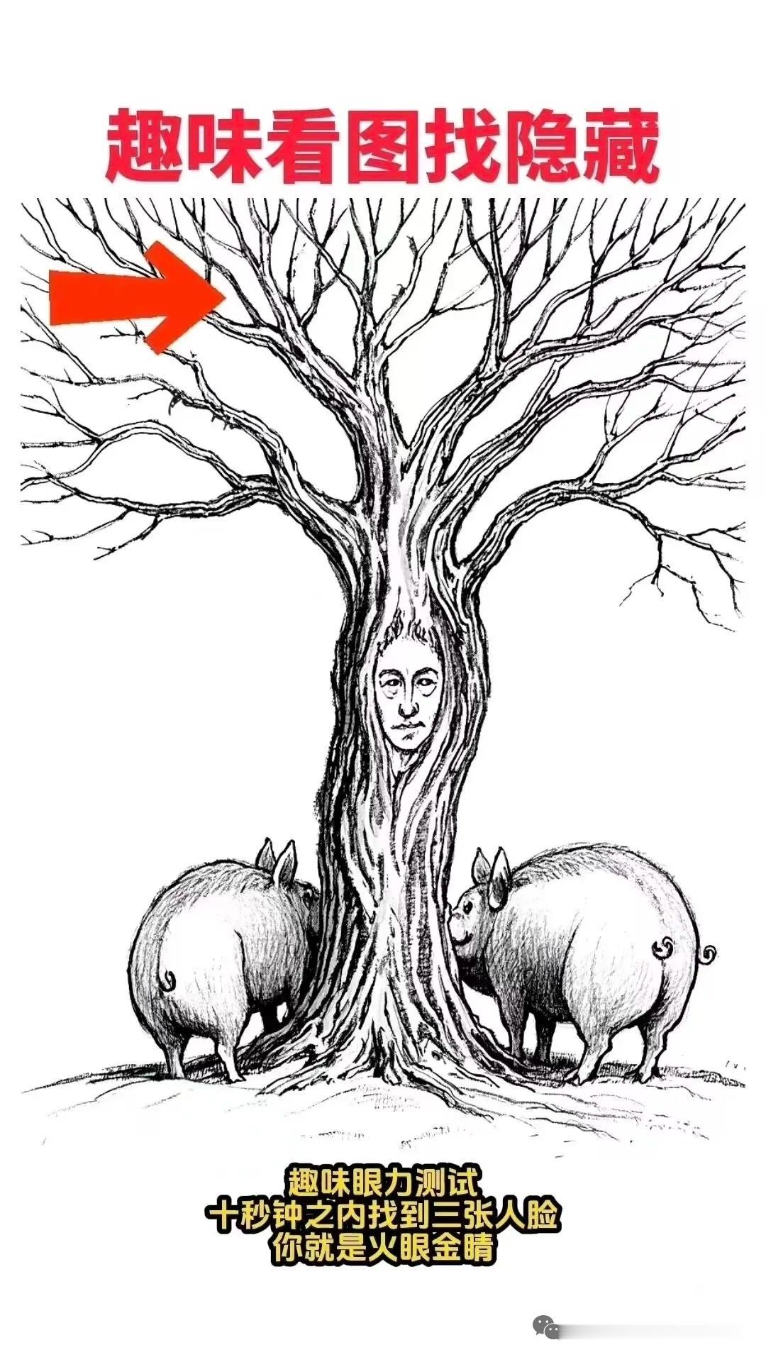 看图识脸？
图片上藏着3张人脸，你能在30秒之内找到吗，快来试试你的运气吧？