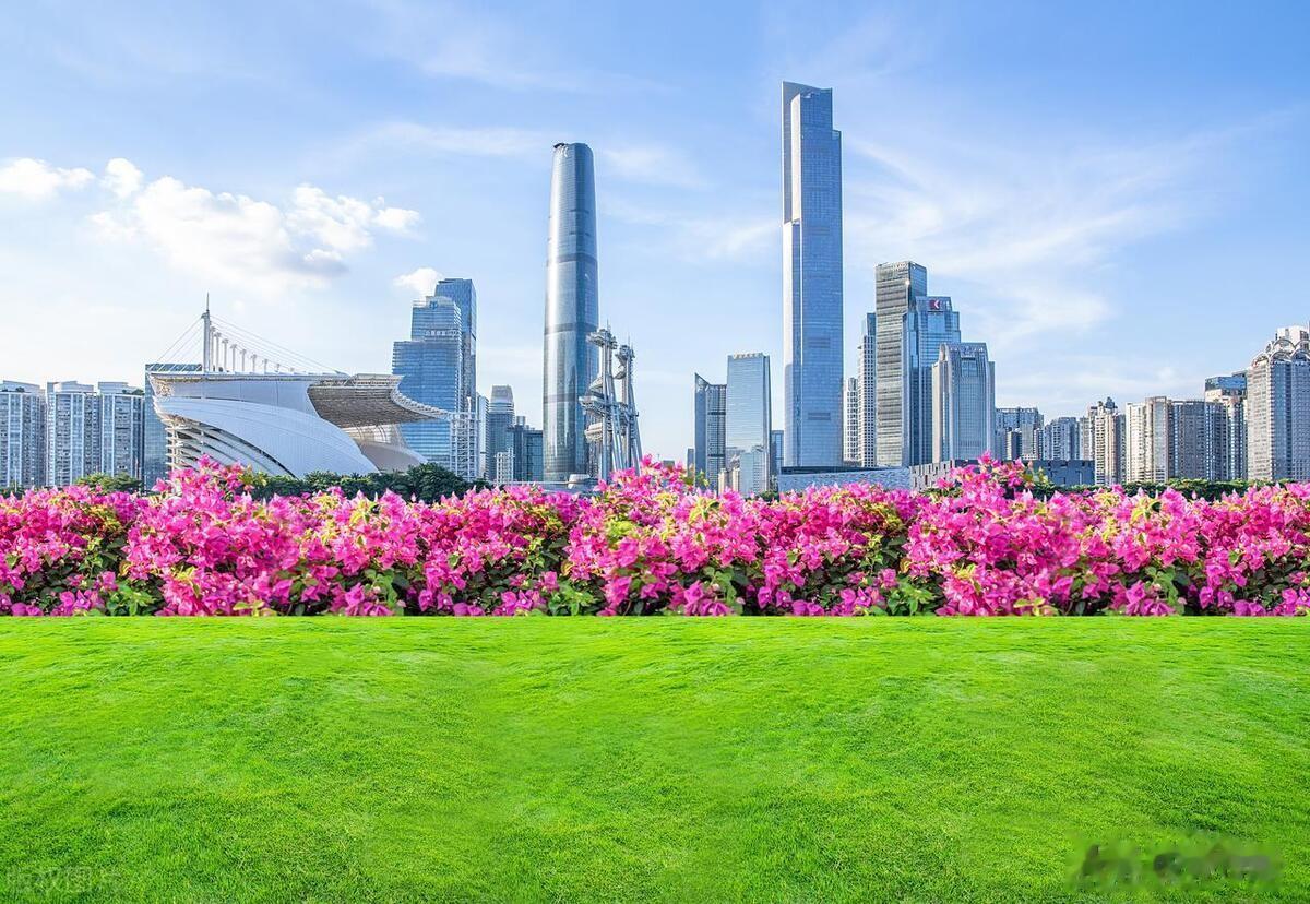 看图考眼力。
以下这些照片，有什么共同之处？
你最喜欢哪一张？为什么？
欢迎把答