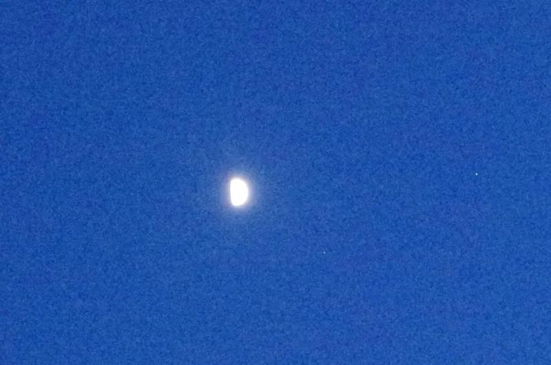 夜晚了
我有点困，却又有点不困
夏天的叶子，遮住了窗外的星光
月亮垂下来的光都有