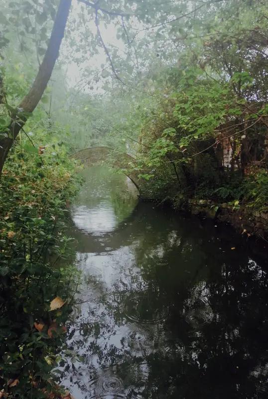 雨中小桥风景