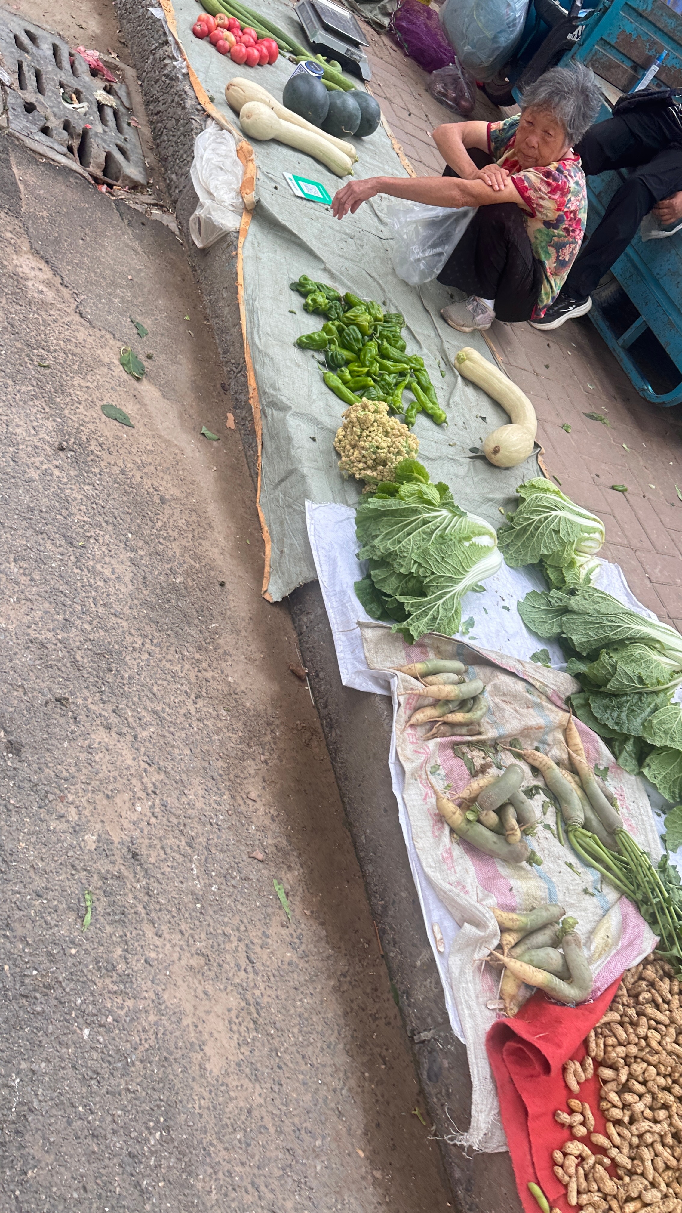 一大早天阴沉沉的刮风，像要下雨我们去赶早市囤点物资，万一受巴威的影响我们就躲在家