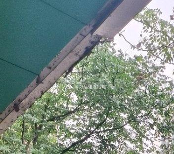 暴雨为啥来得这么猛下午刚出门还看了天气说没有雨，结果出去没多久就下大了，还好是阵