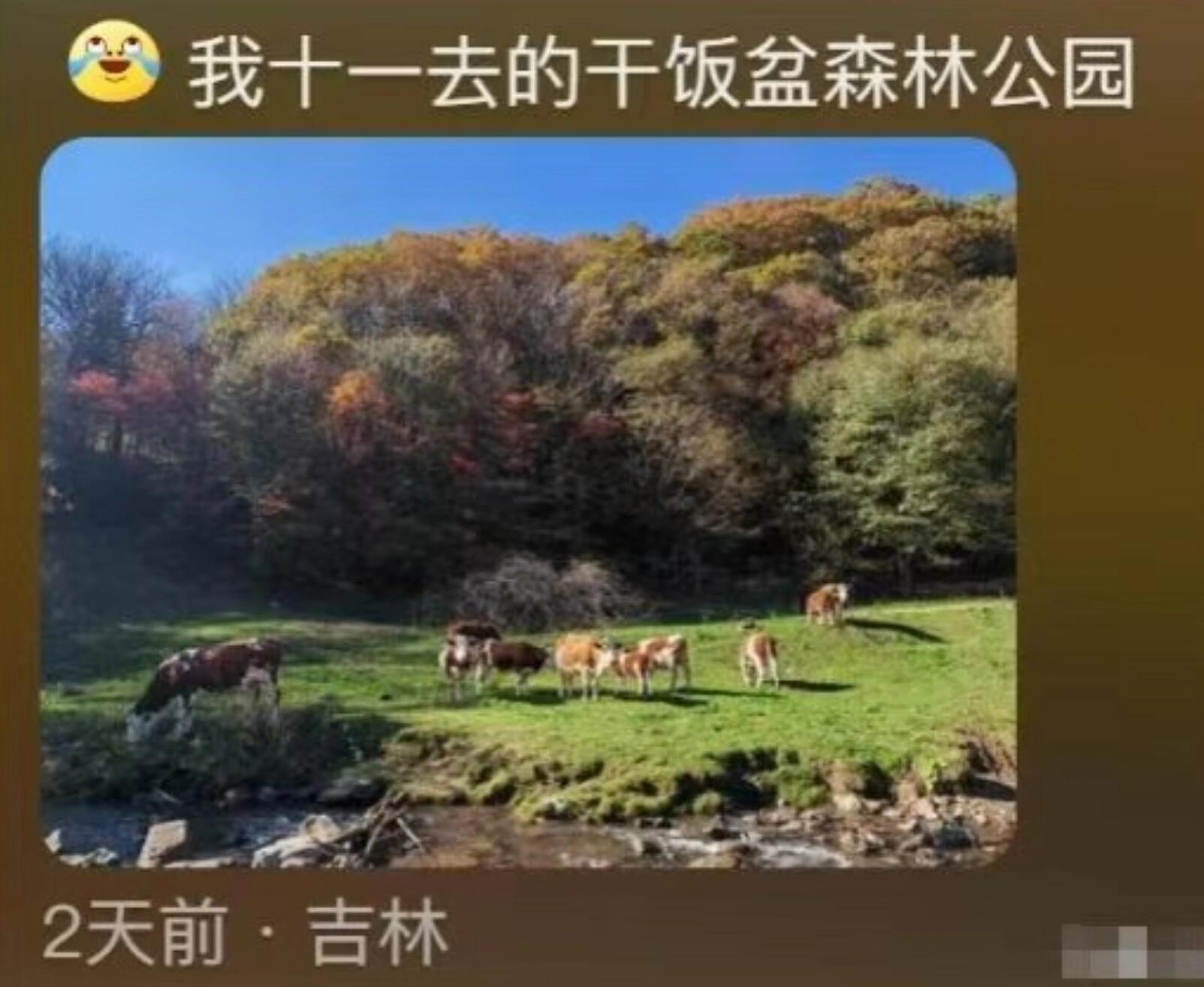 东北各文旅局长：带不动，真的带不动 