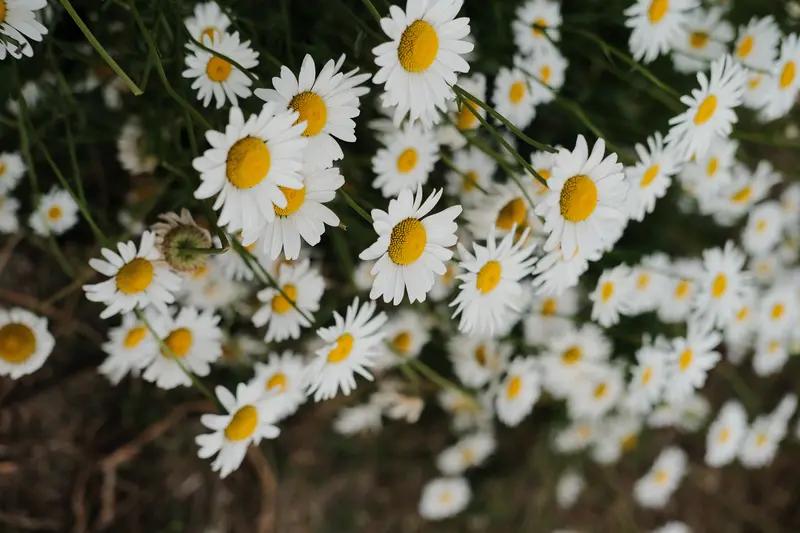 “人死了，祝你一路走好”挺合适的。当身边有人离世，这句简单的话语饱含着对逝者的祝