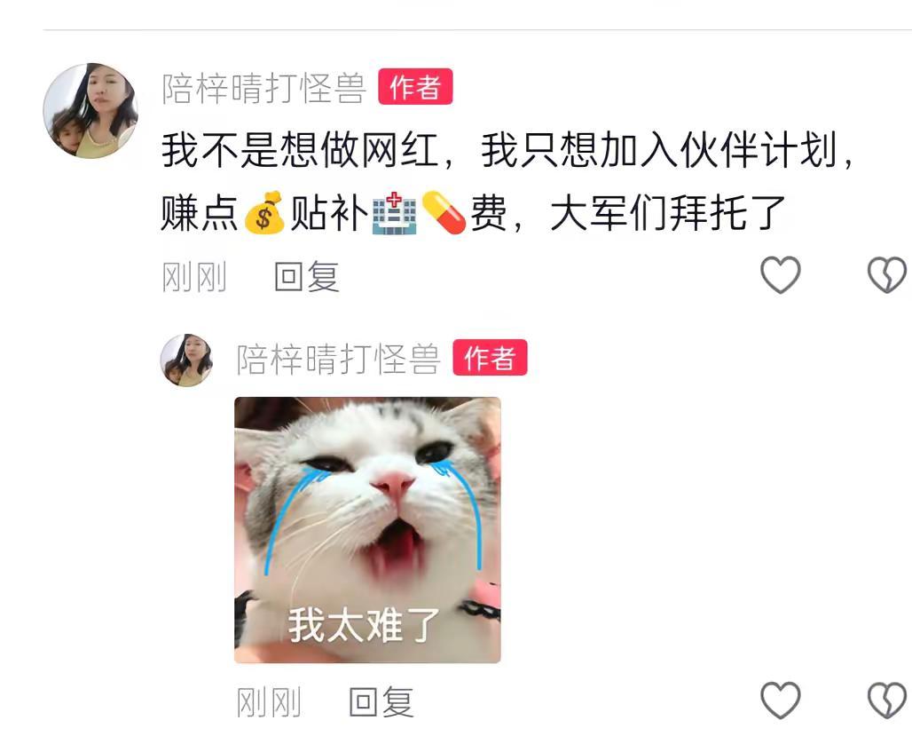 实在没有办法，这就是我唯一的出路了，请大军们棒棒我，好人一生平安健康