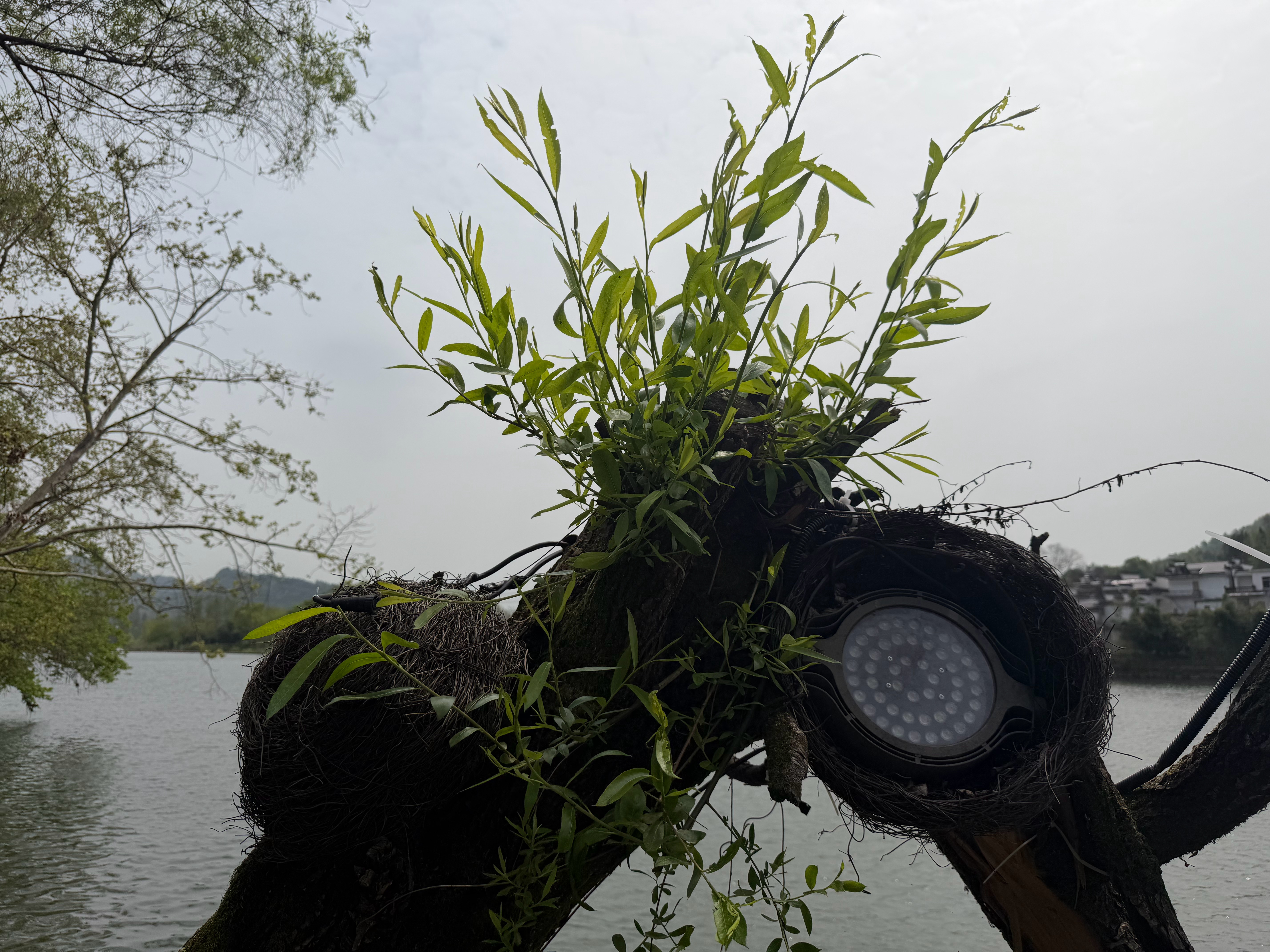 在从木梨硔回基地的路上，随便到齐云山脚溜达一下。