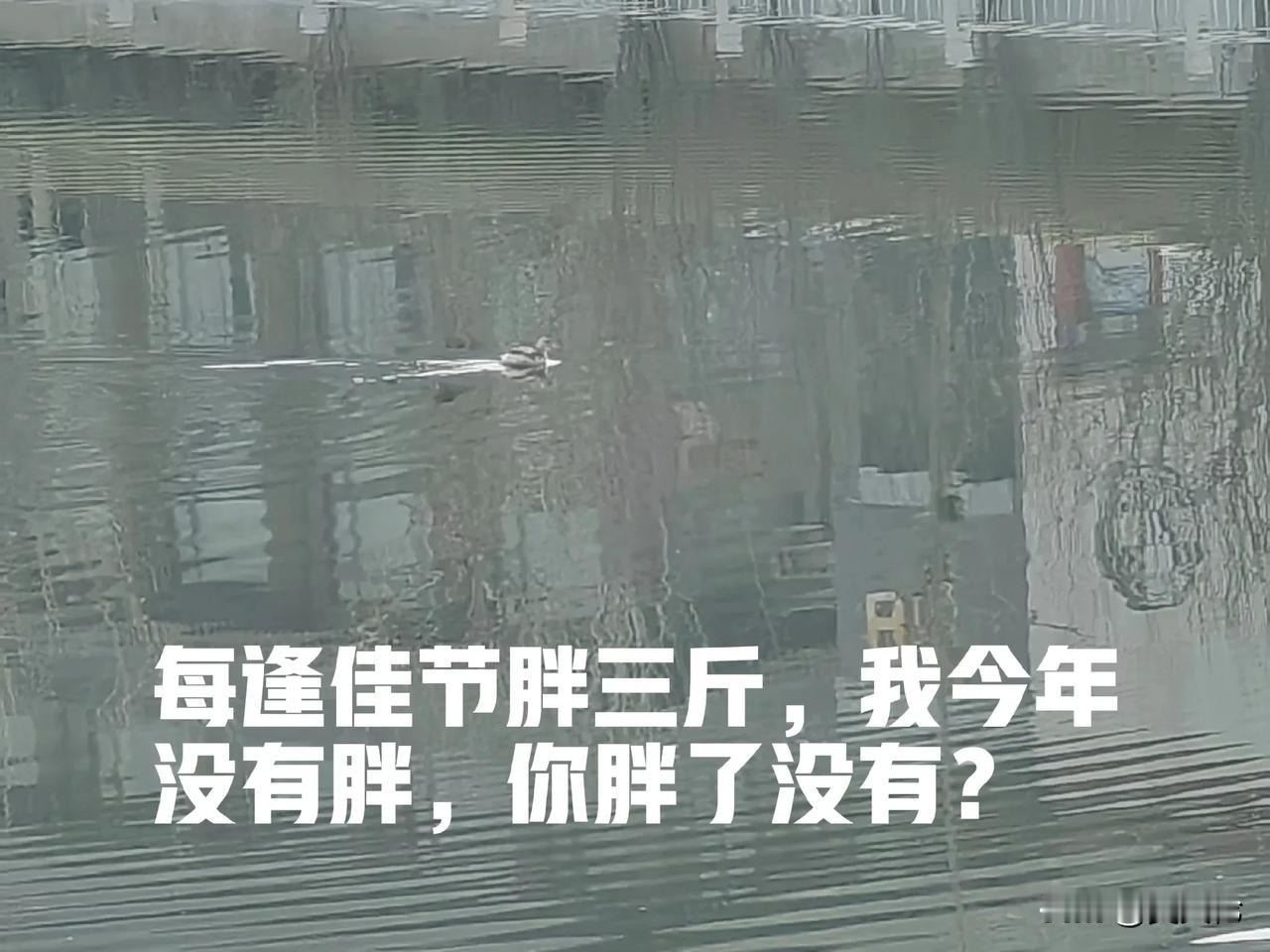 每逢佳节胖三斤，我今年没有胖，你胖了没有？
今年过年，我基本没有动，也没怎么喝酒