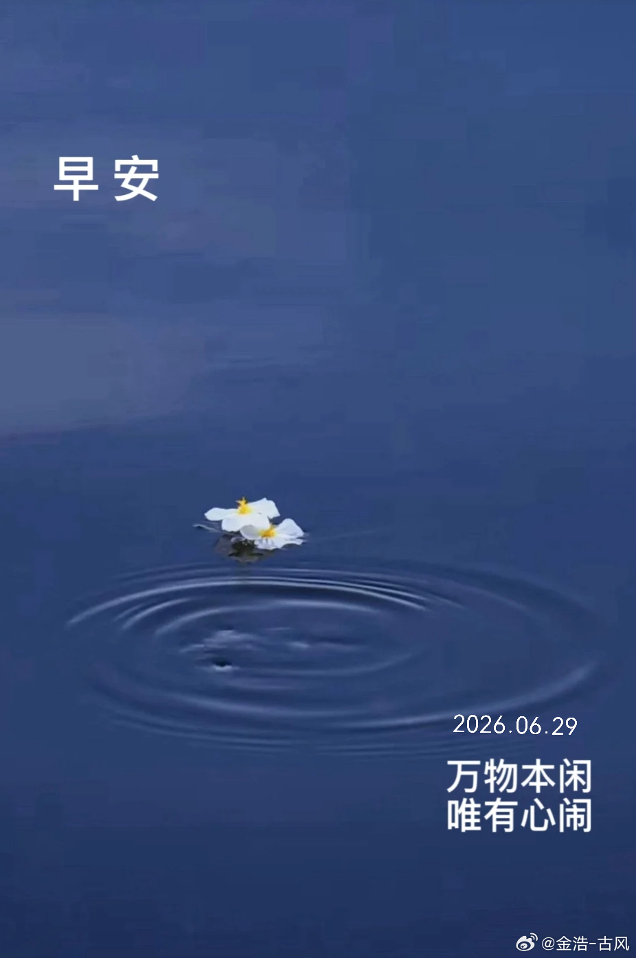 周一早安，雨后天晴，事事顺意，元气满满✨ 北京