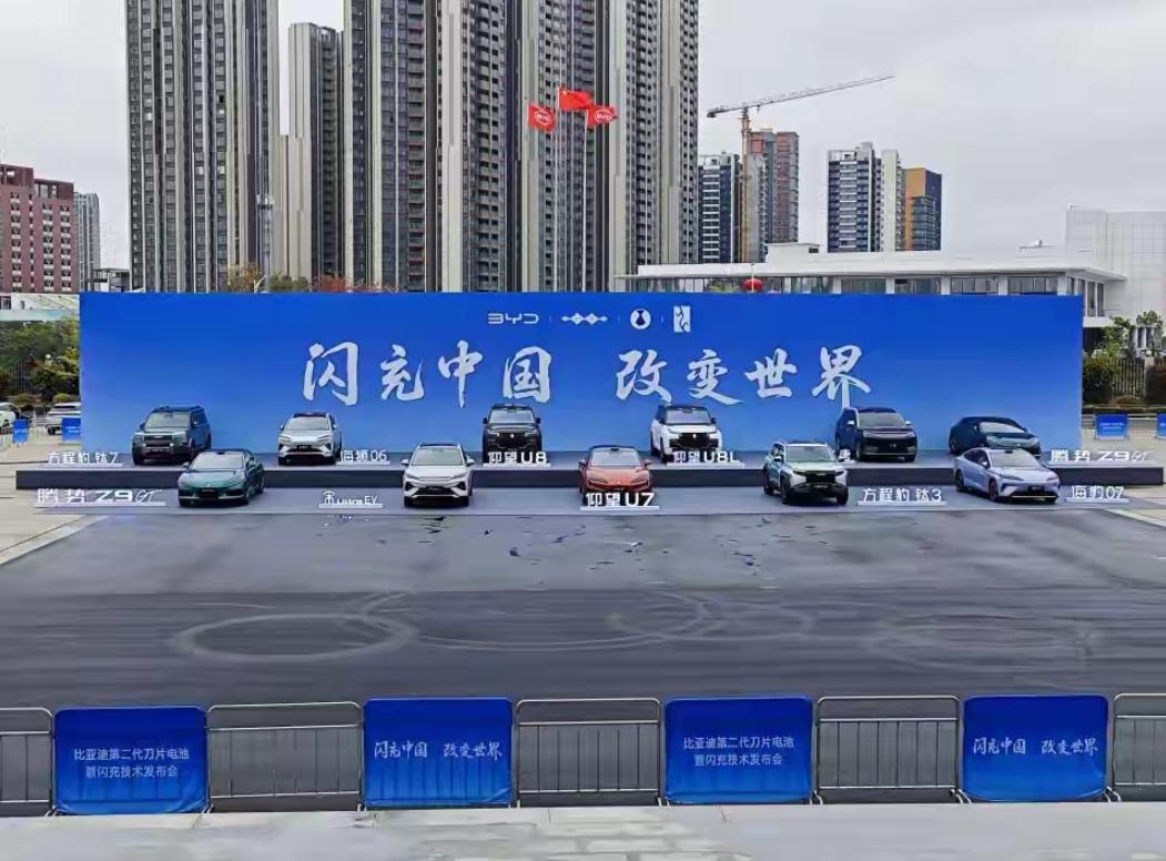 你发现没？现在小区地库里绿牌车越来越多，仔细一看一小半都是比亚迪。
我表弟上个月