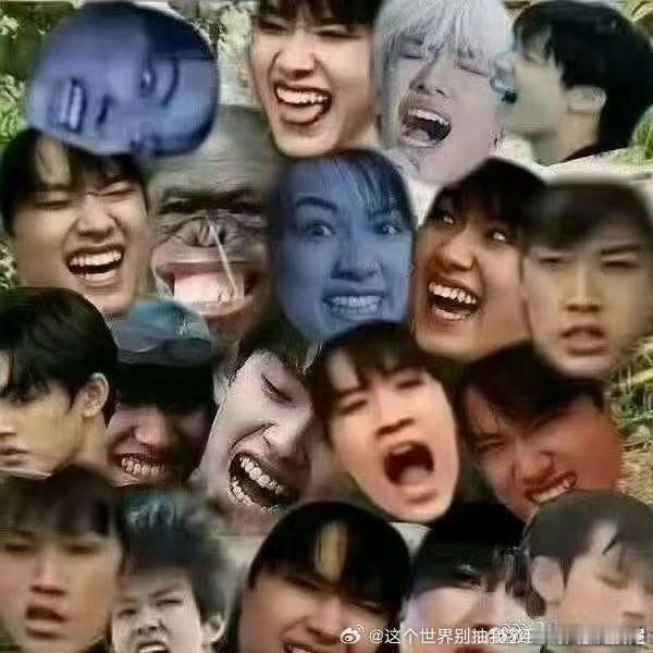 橹穆 张极大芒果上热搜了极爸毛还不说谢谢橹穆批 