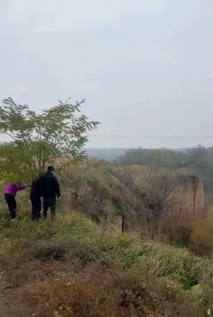 男子打晕妻子后扔下十几米悬崖致死陕西咸阳发生一起恶性刑事案件，一名男子将妻子打晕