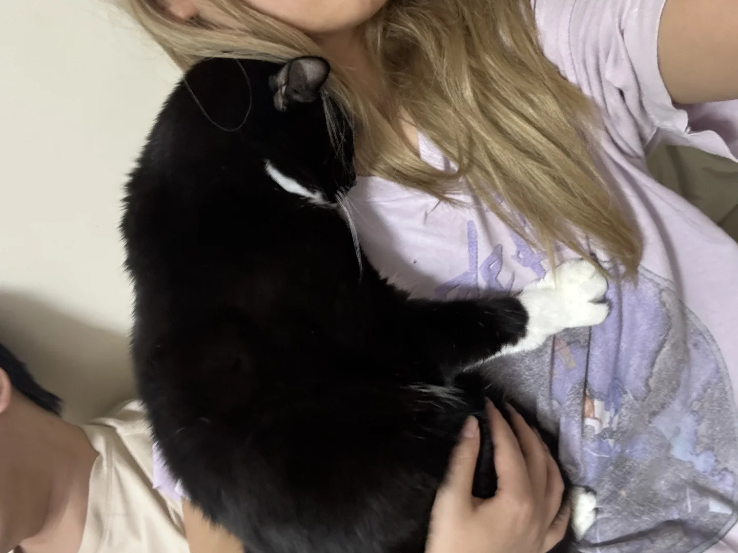 你有什么咪🐱
