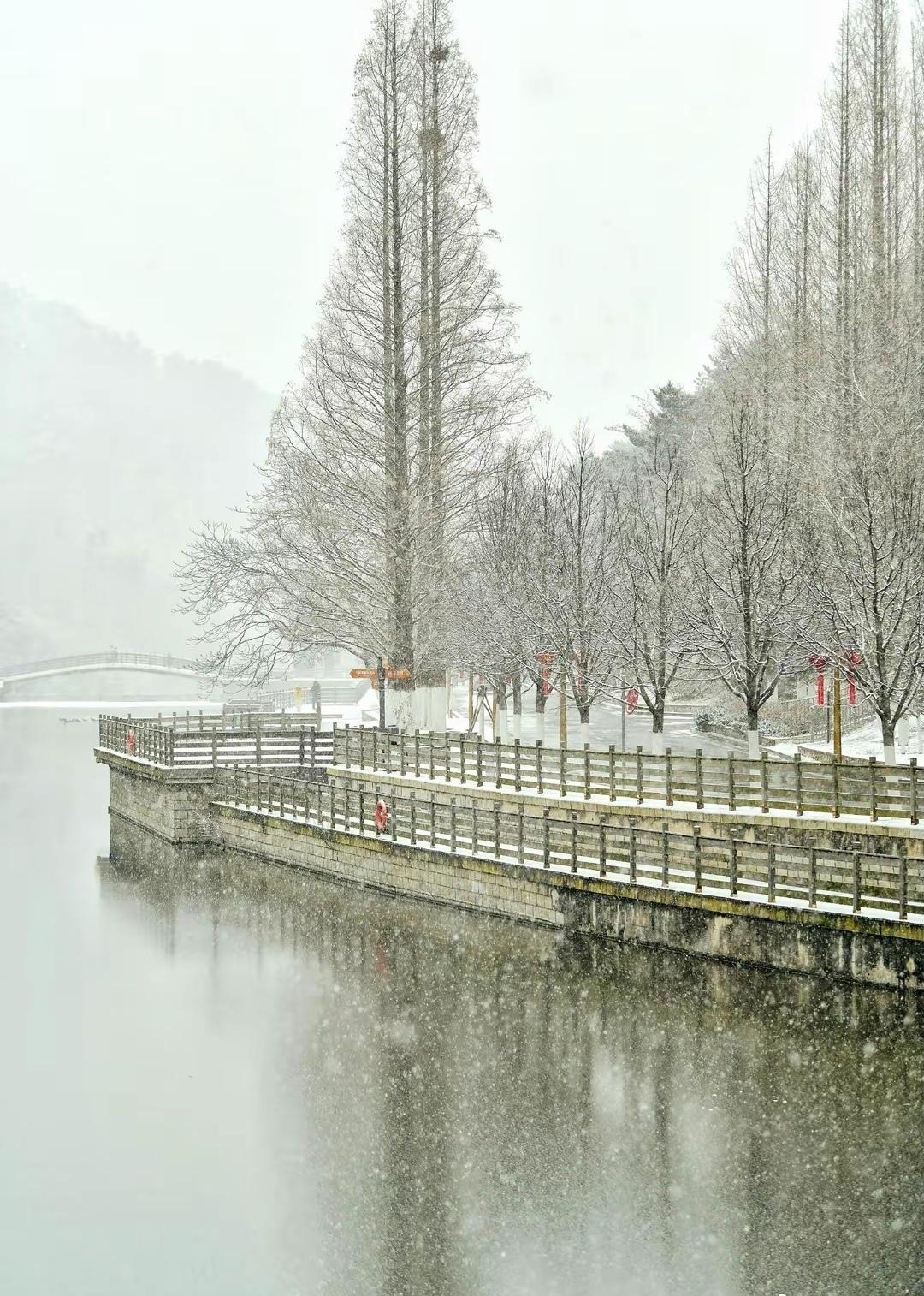 辽宁大连：雾雪天的寂静 ​​​