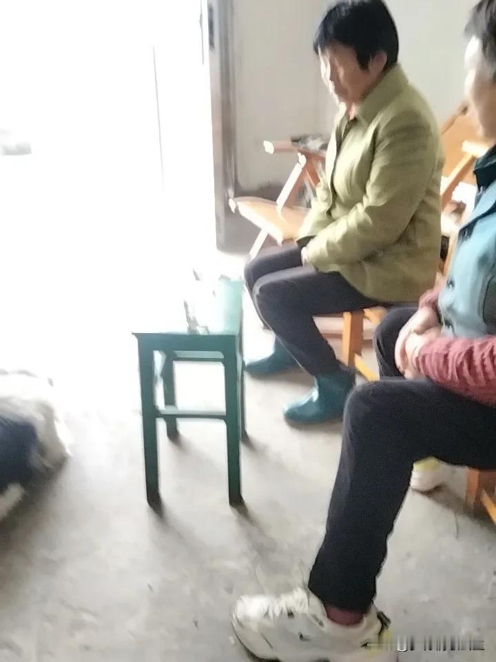 下雨天，两个堂嫂没事来我家唠家常，我用自己做的茶叶泡茶招待她俩，一个堂嫂将她家的