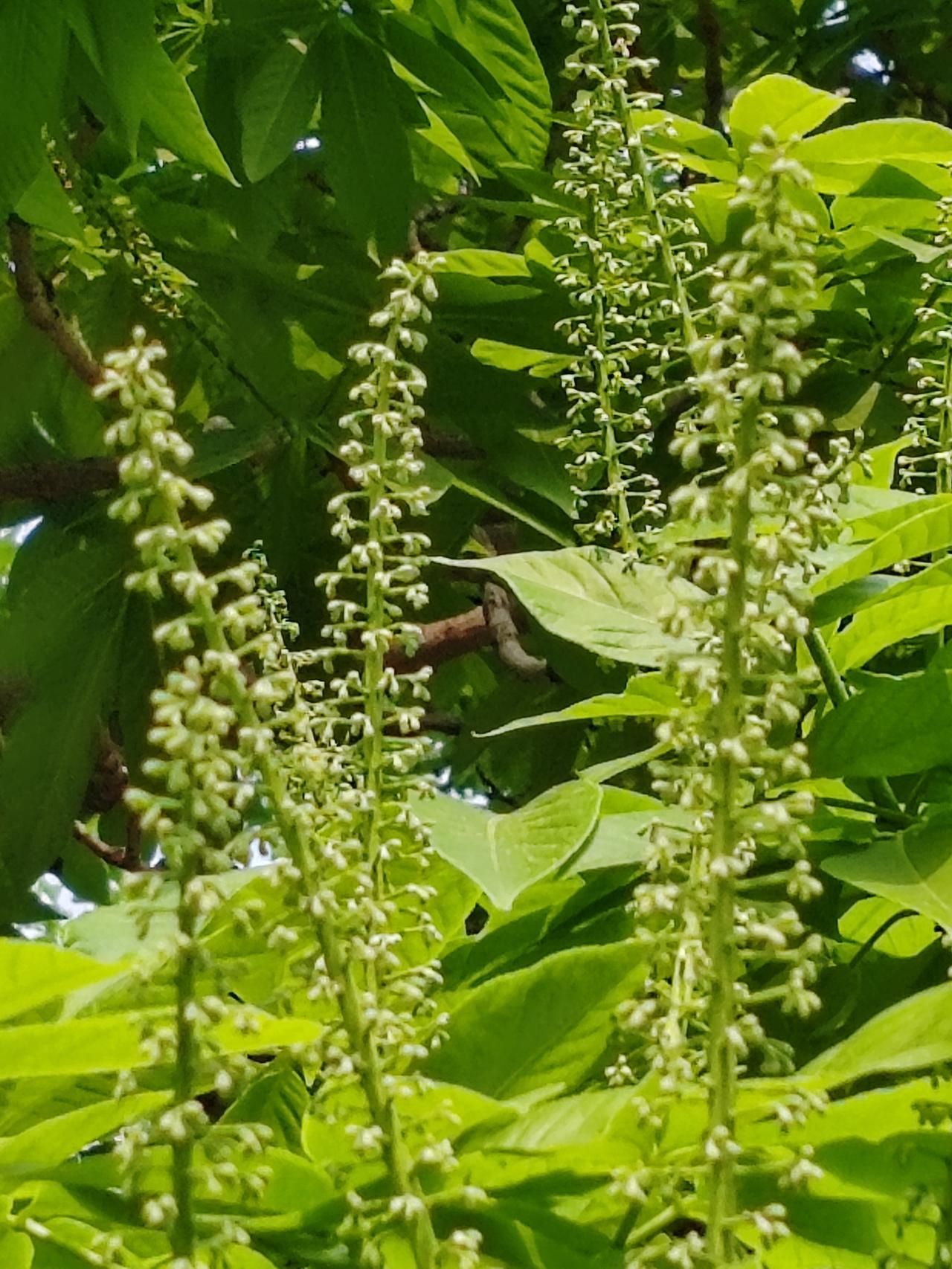 晒图笔记大赛春日随手拍。