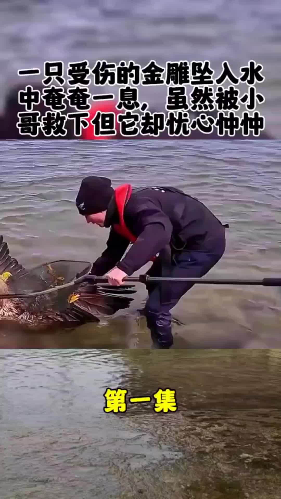 我的观影报告 内容启发搜索 动物的迷惑行为 动物世界 野生动物零距离