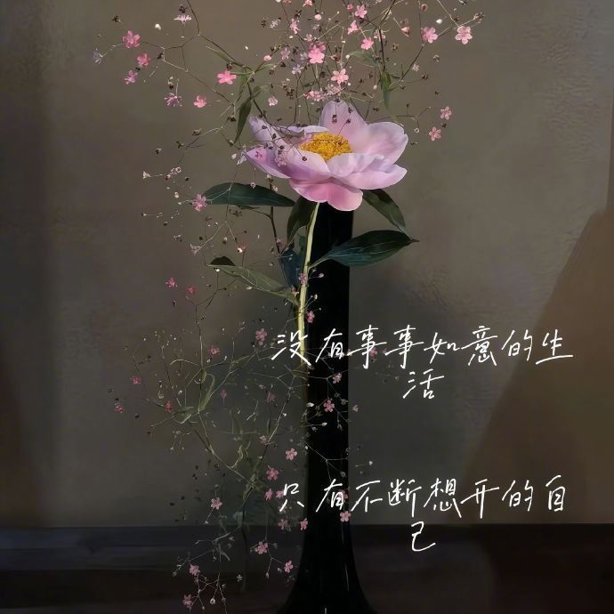 “讨厌突如其来的 坏情绪 ，    它夺走了我 所有的快乐💔” 